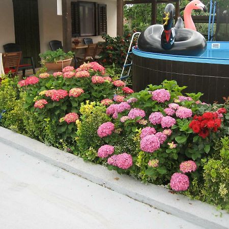 Apartments Adelita 포레치 외부 사진